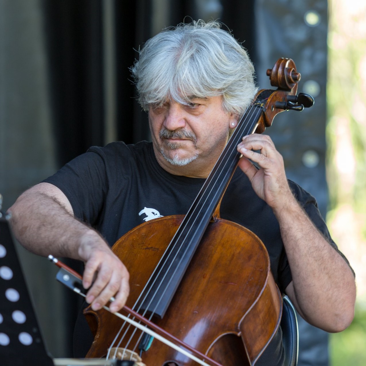 Foto di Davide Zaccaria